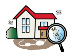 外壁塗装　広島